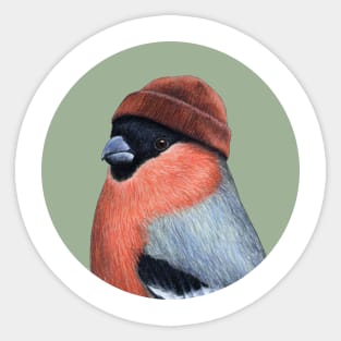 Bullfinch Sticker